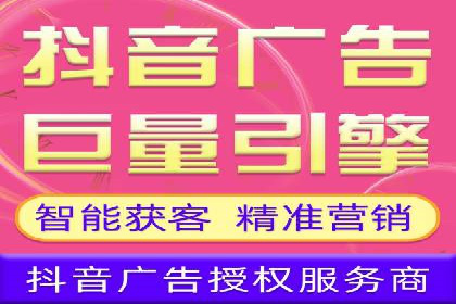 SEM代运营服务公司成功案例解析